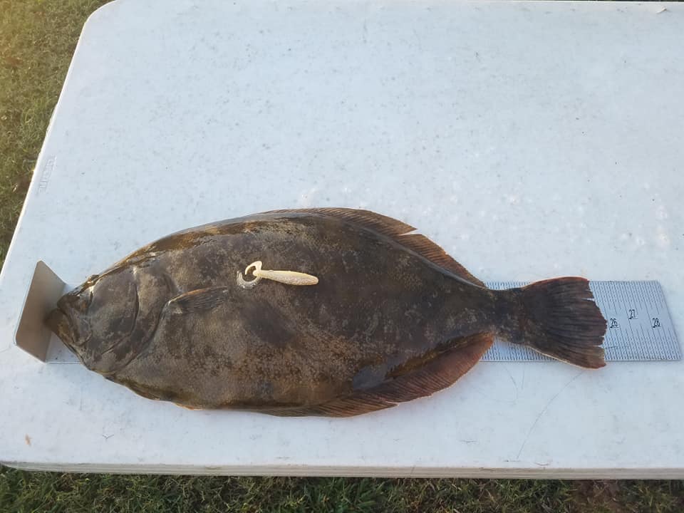Flounder Fishing On The Texas City Dike:By Texas City Dave Fremont